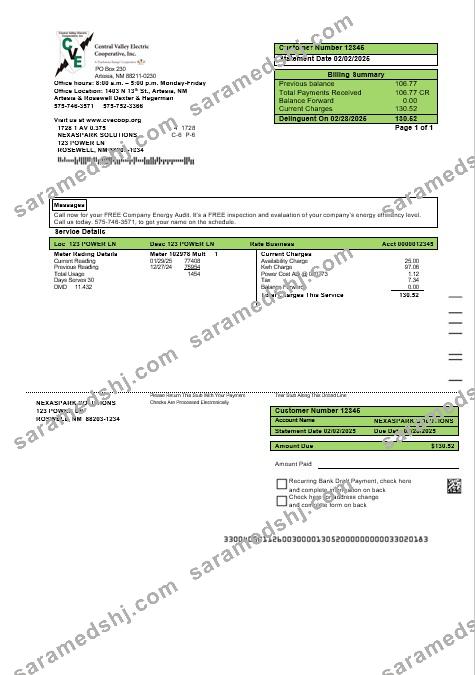 USA New Mexico electricity proof of address business utility bill template in Word and PDF formats